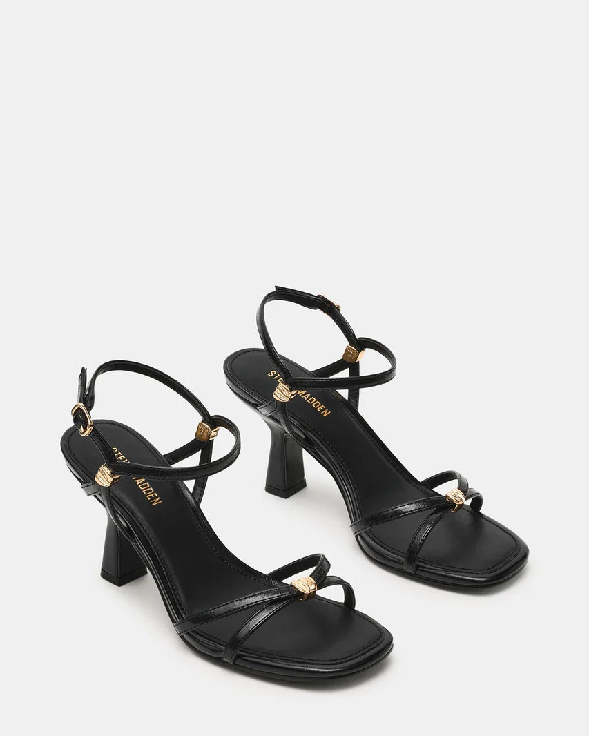 Posy Black & Gold